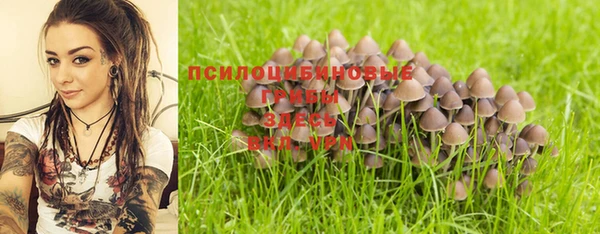 гидра Майский